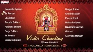 Vedic Chanting  S. Rajagopalsharma Sanskrit Devotional Jukebox  Aditya Bhakti #vedicchanting