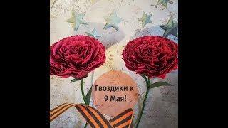 Ростовые гигантские гвоздики из гофрированной бумаги  Украшения для праздника 9 мая 