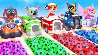 PAW Patrol Guess The Right Door ESCAPE ROOM CHALLENGE Animals Tire Game  Cow Elephant Tiger Lion