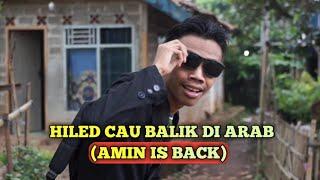 Hiled Cau Balik Di Arab AMIN IS BACK