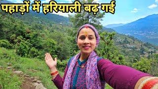 बारिश के बाद पहाड़ों का रंग निखर के आ गया  Preeti Rana  Pahadi lifestyle vlog  Giriya Village