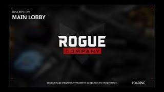We are playing Rogue company