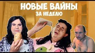 НОВЫЕ ВАЙНЫ ЗА НЕДЕЛЮ #gan_13_