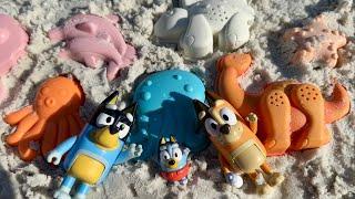 Baby Bluey - the beach - Bluey toys pretend play