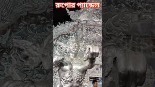 Chandannagar Jagadhatri Puja 2023  Mankundu Jagadhatri Puja #shorts #youtubeshorts #viral #trending