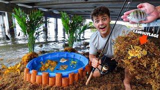 SALTWATER BEACH POND With CREATURES Found in SEAWEED