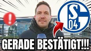 S04 GROßE ERWARTUNG NEUE VERSTÄRKUNGEN KOMMEN aktuelle nachrichten des schalke 04 aktuell  News