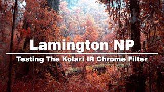 Infrared Photography With The Kolari IR Chrome Filter  Exploring Lamington National Park Part 13