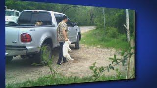 Warning Surveillance video captures man accused of killing 2 puppies Dallas police say