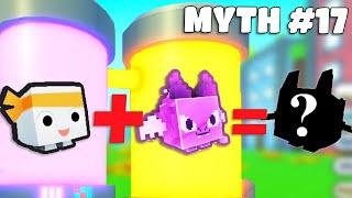 The BEST Fusing MYTHS in Pet Simulator X
