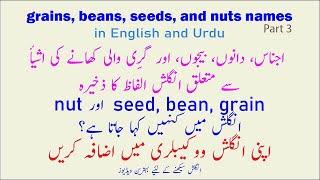 Names of grains beans seeds nuts with Urdu  grain meaning in Urdu  seeds and nuts meanings in Urdu