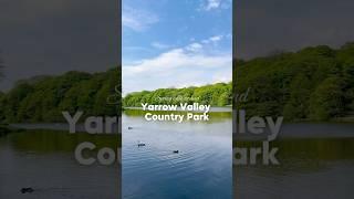 Easy PRAM-FRIENDLY walk around Yarrow Valley Park Lancashire 