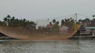 Unique style of net fishing on the Thu Bon river near Hoi An