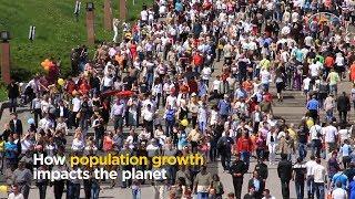 How population growth impacts the planet