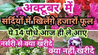 अक्टूबर में नर्सरी से कौन से पौधे खरीदना चाहिए कौन सा नहीं winter Plants shopping form nursay।