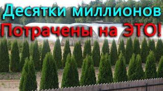 Такого я не ожидал. Полтора года спустя приехал в гости и попал в сказку и музей