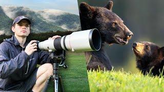 This Moment was Beautiful - Wildlife Photography in the Great Smoky Mountains