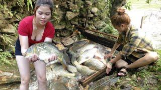 Full video 90 days survival fishing Creat traps catch fish Fishing techniques catch a lot of fish