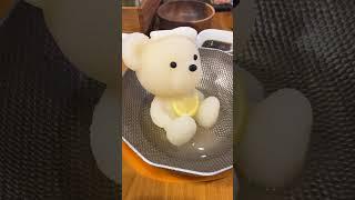 Teddy Bear Hot Pot