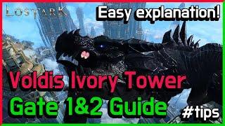 Voldis abyssal dungeon Gate 1 and 2 Guide Ivory tower Normal&Hard