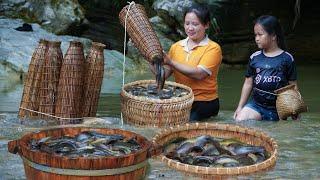 Big win Trap stream fish with a basket With baby Nhu - Luu Linh Family