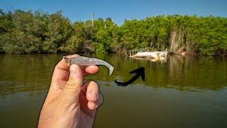 Fishing NLBN Lures Near Saltwater Structure