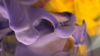 Ink in Water Background - Purple and Yellow Paint- Free Stock Video