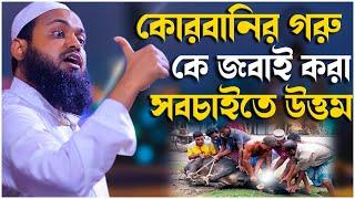 কো-র-বানির গরু কে জ-বা-ই করা সবচাইতে উত্তম  mufti arif bin habib মুফতি আরিফ বিন হাবিব নতুন ওয়াজ