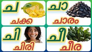 Malayalam Alphabets  Malayalam Aksharamala  മലയാളം അക്ഷരമാല  ച ചാ ചി ചീ 