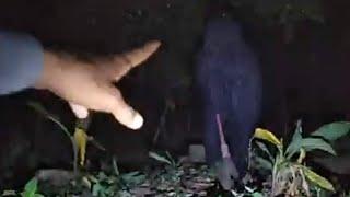 Live Misteri  Susul Itong Misteri Hantu Nenek Bawa Sapu