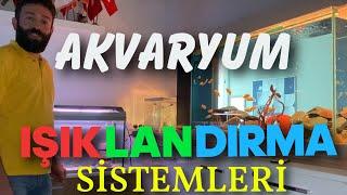 Akvaryum aydınlatma sistemleri