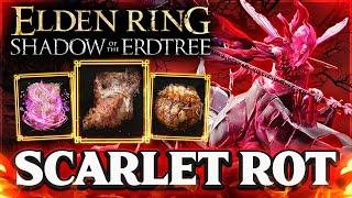 Can You Beat The Elden Ring DLC ONLY Using Scarlet Rot?