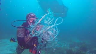 Giant Manta Ray Tangled In Fishing Line asking us For Help