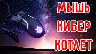 SteelSeries Rival 600 - Одна из лучших мышек для киберспорта Обзор спустя пол года