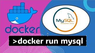 Como crear un contenedor de base de datos MYSQL con Docker 