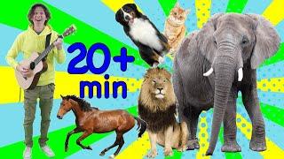 Study English Online for Kids  Animal Songs for Learning  Learn with Matt