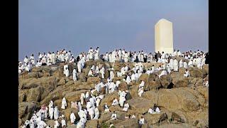 LIVE Muslim pilgrims move from Arafat to Muzdalifah for Hajj