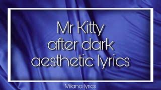 Mr. Kitty  After Dark  Lyrics 