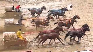 Hold On Tight Ponoka Stampede Thursday Night Cowboys Mud & Mayhem