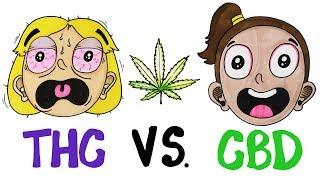 THC vs CBD Whats In Your Weed?