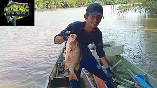 gak disangka sungai kecil ini banyak ikan nya.