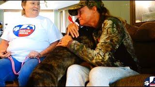 Paws For Heroes. A Houston nonprofit making a difference in the lives of veterans and dogs.