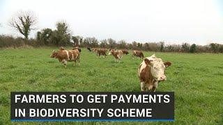 Farmers to receive payments in biodiversity scheme