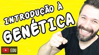 INTRODUÇÃO À GENÉTICA - Genética  Biologia com Samuel Cunha