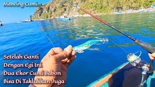 Akhirnya egi ini di sambar cumi babon sesuai harapan  Mancing cumi di pagi hari naik gabus