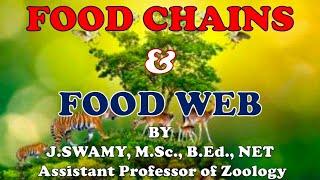 FOOD CHAINS AND FOOD WEB