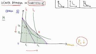 Mikroekonomija - Učinek dohodka in substitucije - 1.del