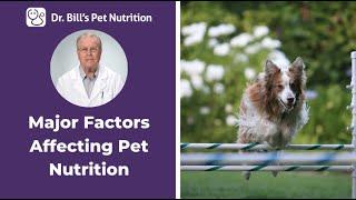 Major Factors Affecting Pet Nutrition  Optimum Nutrition  Dr. Bills Pet Nutrition