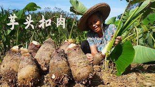 芋頭的一生從種植到餐桌，耗時8個月，做一道農村傳統芋頭扣肉｜Grandma spends 8 months harvesting taro delicacie｜广西 美食 ｜玉林阿婆