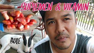 SUPLEMEN & VITAMIN ANJING PEMBURU  KARIMBOTV